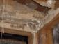 Termite Damaged Wood Rafters